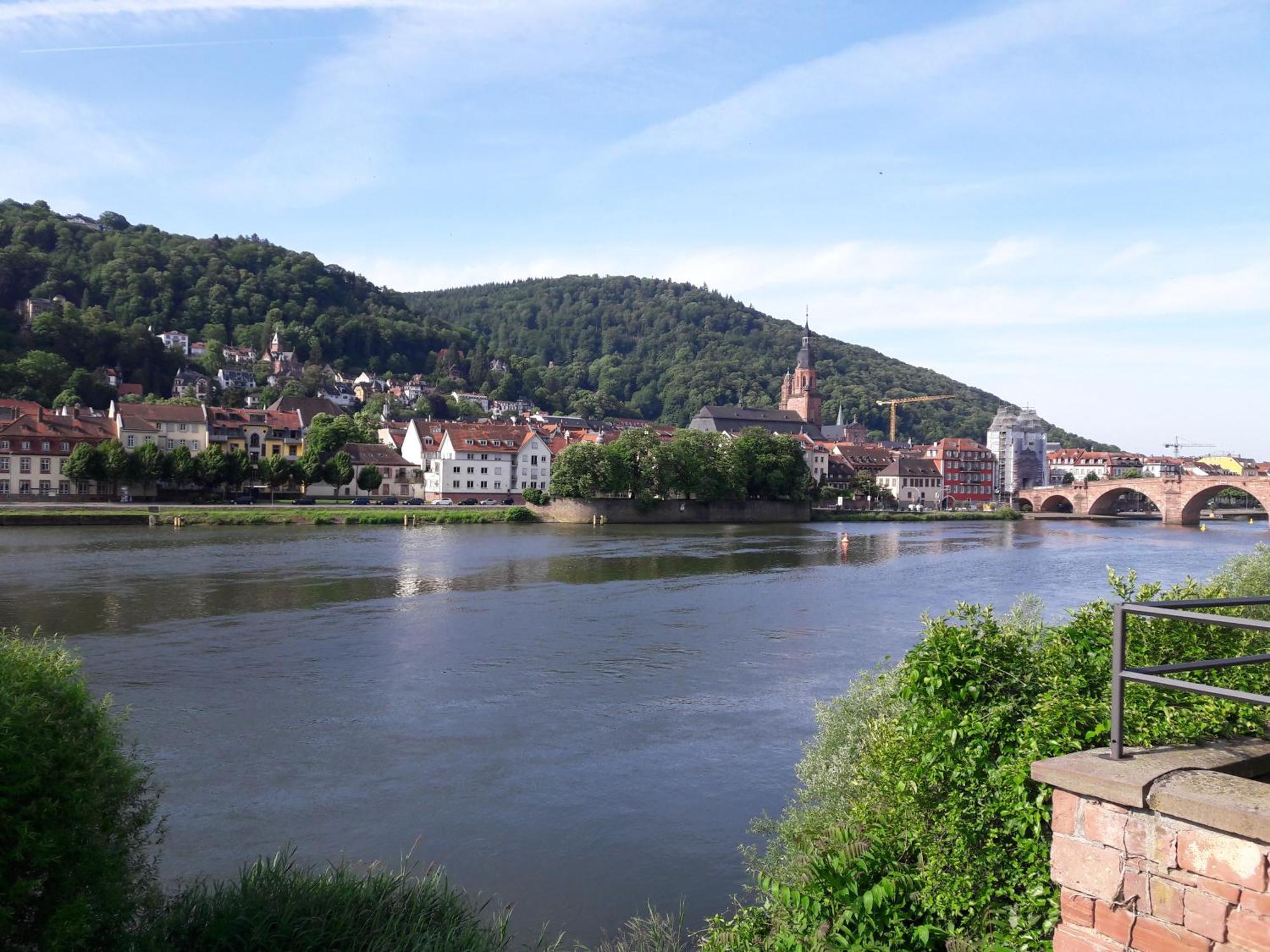 Ferienwohnung Neckarblick Heidelberg Exterior foto